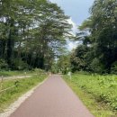 (주)코리도어 이미지