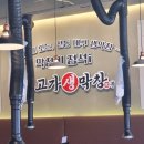 3683 | [영종 맛집] 고가생막창, 고기 진짜 제대로 하는 집 내돈내산 후기