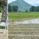 송림농장 이미지