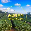 제주도가이드투어 렌트기사님 찐이야