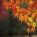 건강과 행복 이미지