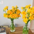 원앙농장 이미지