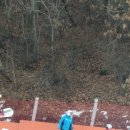 예손태권도 이미지