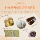 골목시장~새벽시장 횡단보도 | 달서구 빵집 추천│관문시장 먹거리 빵떡대장 리뷰