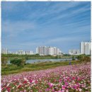 리버파크힐공인중개사사무소 | 광주부동산 믿음직한 명품리버파크 부동산 후기