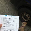 순동물병원 네이버블로그