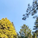 은빛나래펜션 이미지