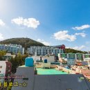 정상 네이처빌 이미지