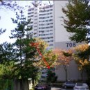 삼동로-2 이미지