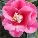 이대농장 이미지