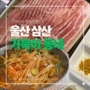 거북이동네울산삼산 | [울산 삼산]울산 삼산동 고기집 거북이동네 울산삼산점, 돼지짜글이랑 급냉삼겹 점심 후기