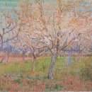 살구꽃핀마을은 이미지