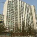 일산제일치과의원 네이버블로그