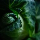 삼성2동주민센터 이미지