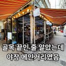 익선동 맥주집 옥상 후기｜피맥하다가 종로 야장 메인거리 발견
