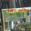 [04/20] 프리저브드 플라워 미니센터피스 - 원데이 클래스 | 세종 꽃집 &amp; 가드닝샵- 크리스마스 준비부터 예쁜 화분 선물까지, 20대 내돈내산 후기🌸