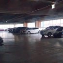 MG스크린골프죤 이미지