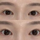 더브로우 - 성남시 분당구 판교공원로2길 28 | wedding care | 일산동구 속눈썹펌 맛집 더브로우샵🖤 딥블랙 래쉬펌 솔직 후기