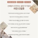리안하우스 이미지