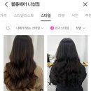 블롱헤어 이미지