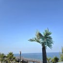 어보브 블루 A 이미지