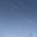 광장구이 이미지