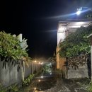 항구열쇠 | 빠당바이 항구 근처 깨끗한 가성비 숙소 빌라 아리야니