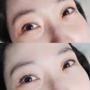 시옷눈썹