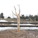 영실 휴게소옆 화장실 이미지