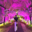 진영레일파크(상)(역사) | 경남 김해여행 가볼만한 곳_시원한 실내관광지 사진핫플 산딸기와인동굴 추천~