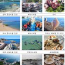 소돌어촌체험마을 이미지