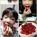 지누농장 이미지