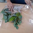 삼천포제일중학교 이미지