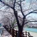 동천상사