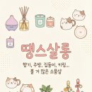 땡스살롱