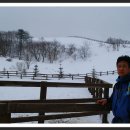 삼영목장 이미지