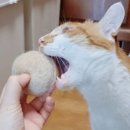 금수강산약국 이미지