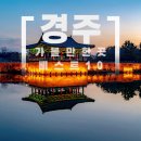 경주 가볼만한곳 베스트 10 총정리 이미지