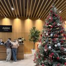 아바니센트럴 부산 | 부산 드림씨어터 숙소 아바니 센트럴 부산, 31층 고층 투숙 후기와 가성비 조식