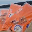 해파랑길 | 해파랑길 걷기축제 파도따라 맨발걷기 후기