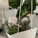 멍멍제과 이미지