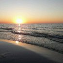 에쓰에쓰 이미지