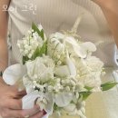 모어그린 이미지