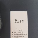 몽실 애견미용 이미지