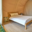 스테이 G 이미지