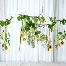 갈란드-hanging 이미지