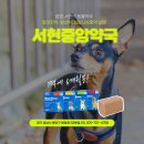 서현중앙약국 이미지