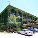 금호고등학교 이미지