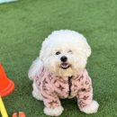 브루하하유치원 이미지