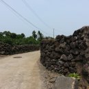 제주토생금공인중개사사무소 이미지